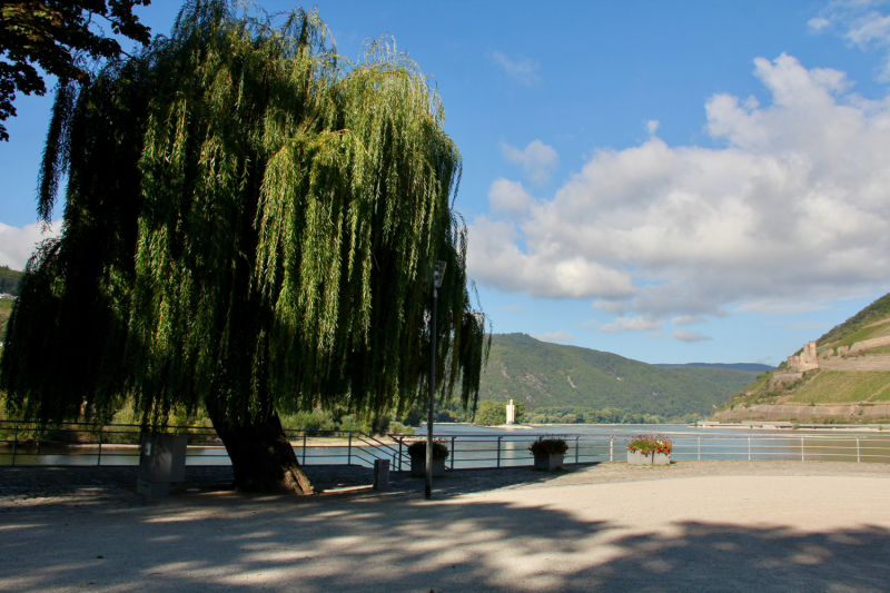 Осенний марафон 2021 г.