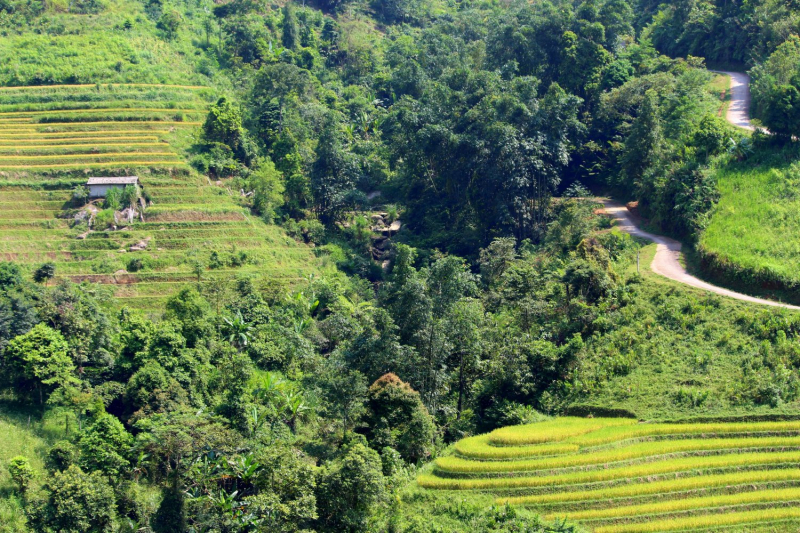 По Вьетнаму с вьетнамцами. С 25 сентября по 9 октября 2022 года. Hanoi - SаPа - Halong Bay - Nha Trang - Dalat - Hanoi.