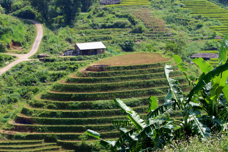 По Вьетнаму с вьетнамцами. С 25 сентября по 9 октября 2022 года. Hanoi - SаPа - Halong Bay - Nha Trang - Dalat - Hanoi.