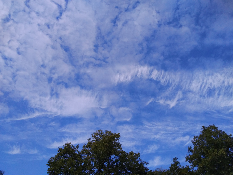 Эльзас, Люксембург, Монако и другие кусочки паззла - не съесть, но надкусить.