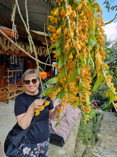 По Вьетнаму с вьетнамцами. С 25 сентября по 9 октября 2022 года. Hanoi - SаPа - Halong Bay - Nha Trang - Dalat - Hanoi.