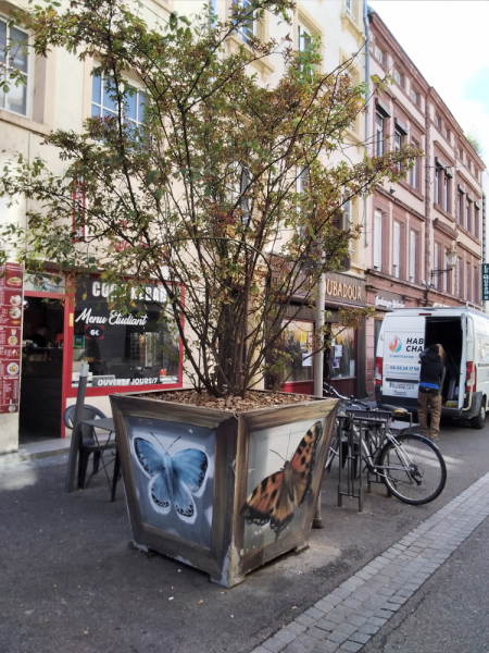 Эльзас, Люксембург, Монако и другие кусочки паззла - не съесть, но надкусить.