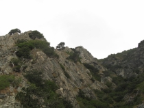 Турция: зимний довесок.