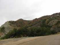 Турция: зимний довесок.