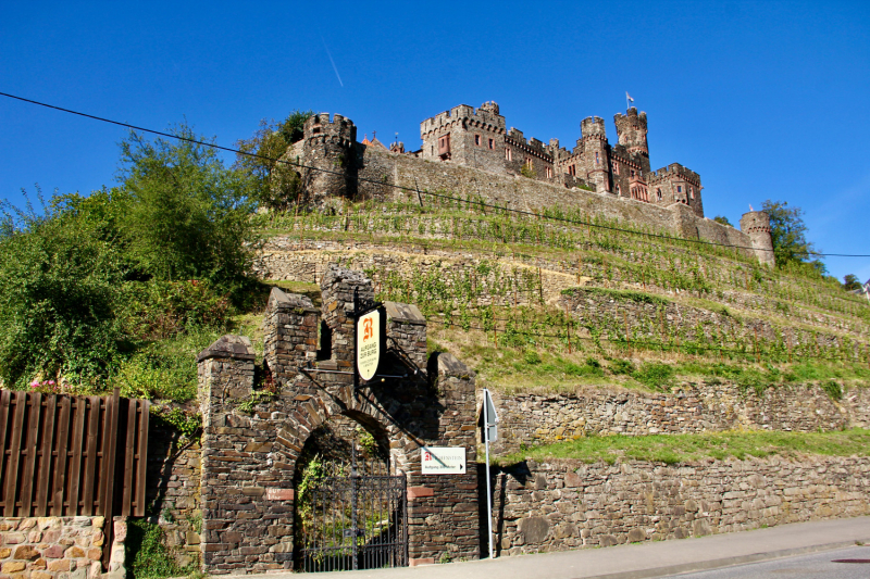 Осенний марафон 2021 г.