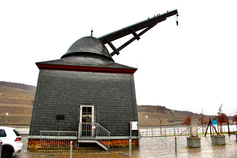 Осенний марафон 2021 г.