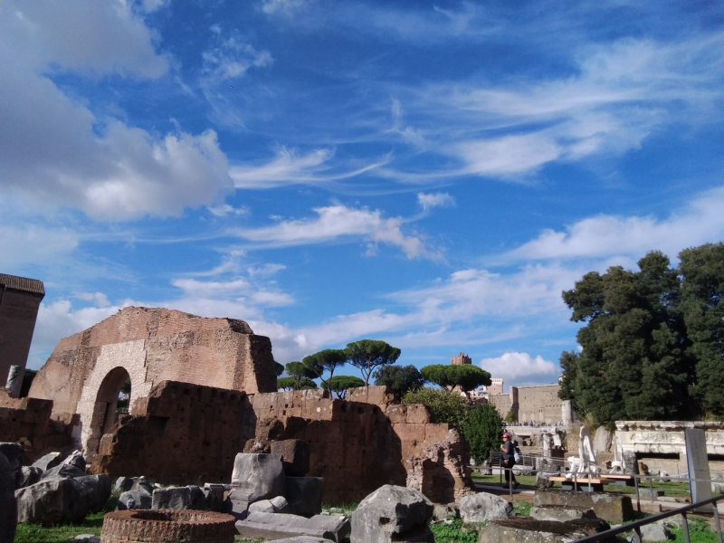 La mia vita. Римские записки, дневник онлайн