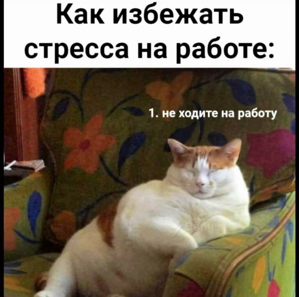 La mia vita. Римские записки, дневник онлайн