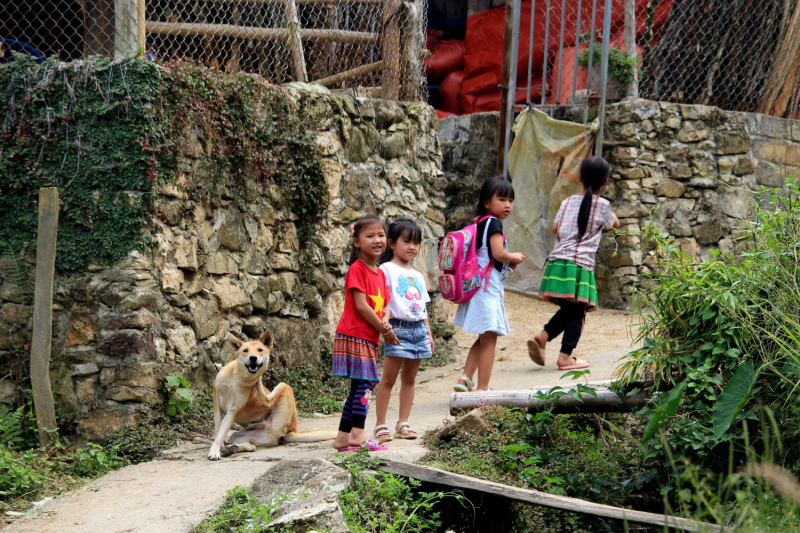 По Вьетнаму с вьетнамцами. С 25 сентября по 9 октября 2022 года. Hanoi - SаPа - Halong Bay - Nha Trang - Dalat - Hanoi.