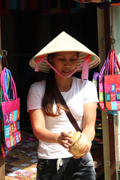 По Вьетнаму с вьетнамцами. С 25 сентября по 9 октября 2022 года. Hanoi - SаPа - Halong Bay - Nha Trang - Dalat - Hanoi.