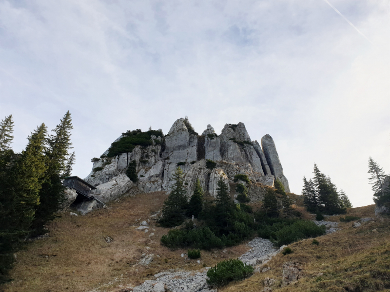 Альпийский дневник