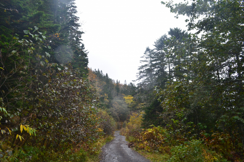 Сахалин дорога на мыс Евстафия