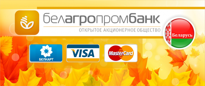 Оформление банковской карты VISA и MasterCard в Беларуси и других странах для россиян - удаленно с гарантией!