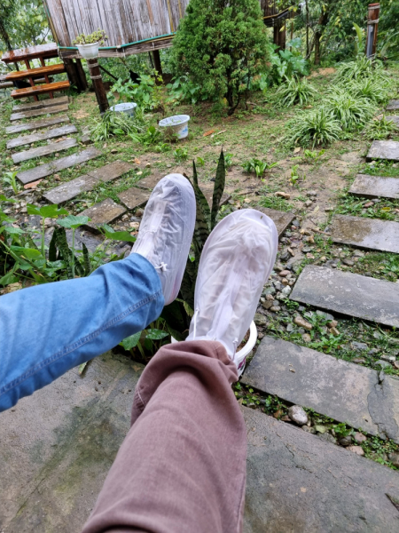 По Вьетнаму с вьетнамцами. С 25 сентября по 9 октября 2022 года. Hanoi - SаPа - Halong Bay - Nha Trang - Dalat - Hanoi.