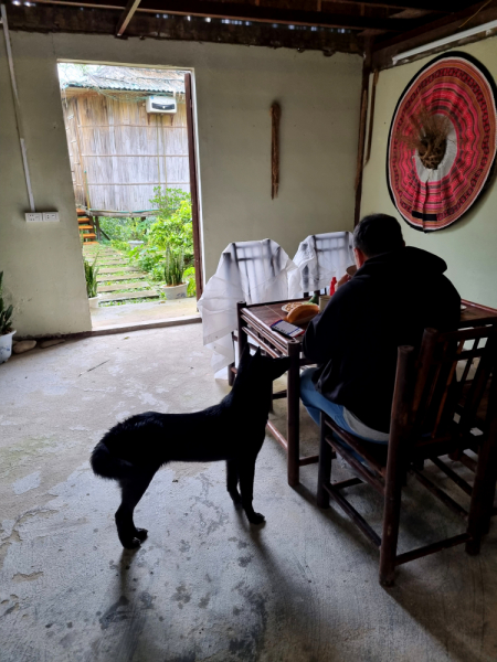 По Вьетнаму с вьетнамцами. С 25 сентября по 9 октября 2022 года. Hanoi - SаPа - Halong Bay - Nha Trang - Dalat - Hanoi.