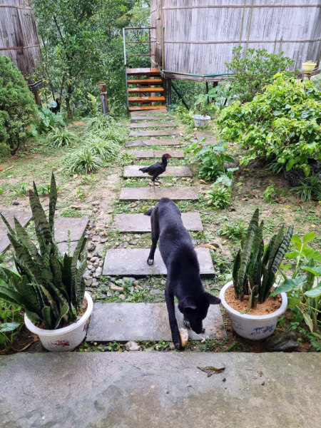 По Вьетнаму с вьетнамцами. С 25 сентября по 9 октября 2022 года. Hanoi - SаPа - Halong Bay - Nha Trang - Dalat - Hanoi.