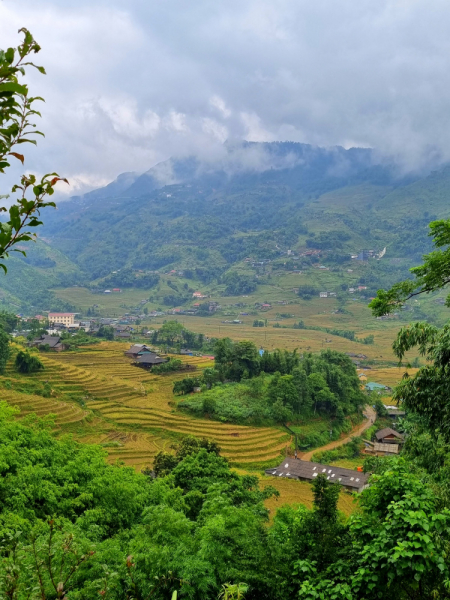 По Вьетнаму с вьетнамцами. С 25 сентября по 9 октября 2022 года. Hanoi - SаPа - Halong Bay - Nha Trang - Dalat - Hanoi.