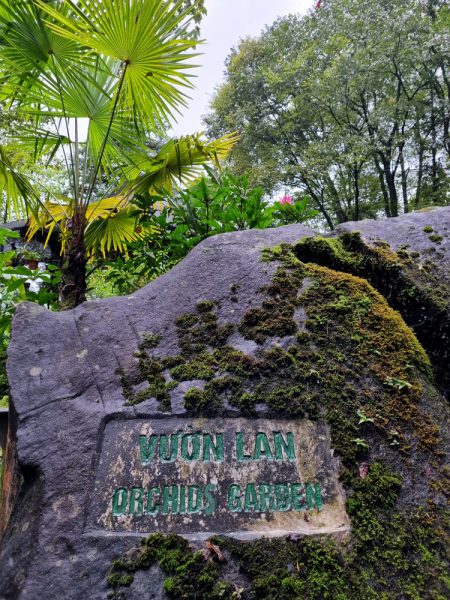 По Вьетнаму с вьетнамцами. С 25 сентября по 9 октября 2022 года. Hanoi - SаPа - Halong Bay - Nha Trang - Dalat - Hanoi.