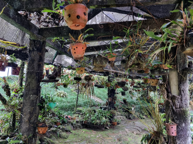 По Вьетнаму с вьетнамцами. С 25 сентября по 9 октября 2022 года. Hanoi - SаPа - Halong Bay - Nha Trang - Dalat - Hanoi.