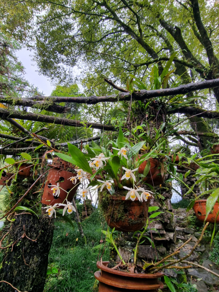 По Вьетнаму с вьетнамцами. С 25 сентября по 9 октября 2022 года. Hanoi - SаPа - Halong Bay - Nha Trang - Dalat - Hanoi.