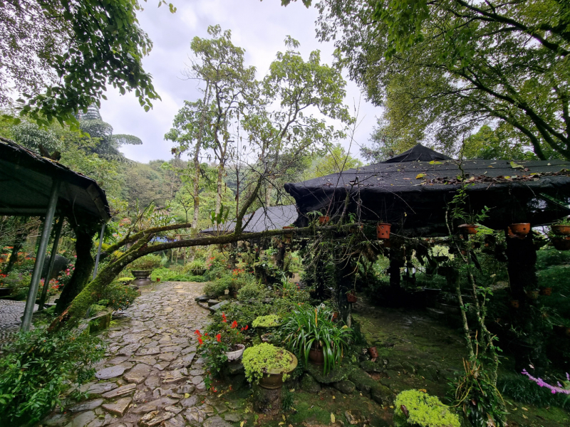 По Вьетнаму с вьетнамцами. С 25 сентября по 9 октября 2022 года. Hanoi - SаPа - Halong Bay - Nha Trang - Dalat - Hanoi.