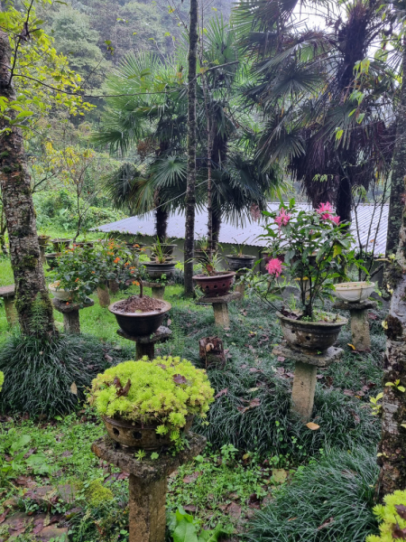 По Вьетнаму с вьетнамцами. С 25 сентября по 9 октября 2022 года. Hanoi - SаPа - Halong Bay - Nha Trang - Dalat - Hanoi.