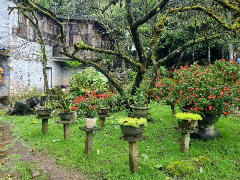 По Вьетнаму с вьетнамцами. С 25 сентября по 9 октября 2022 года. Hanoi - SаPа - Halong Bay - Nha Trang - Dalat - Hanoi.
