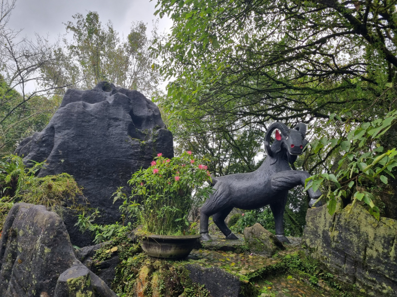 По Вьетнаму с вьетнамцами. С 25 сентября по 9 октября 2022 года. Hanoi - SаPа - Halong Bay - Nha Trang - Dalat - Hanoi.