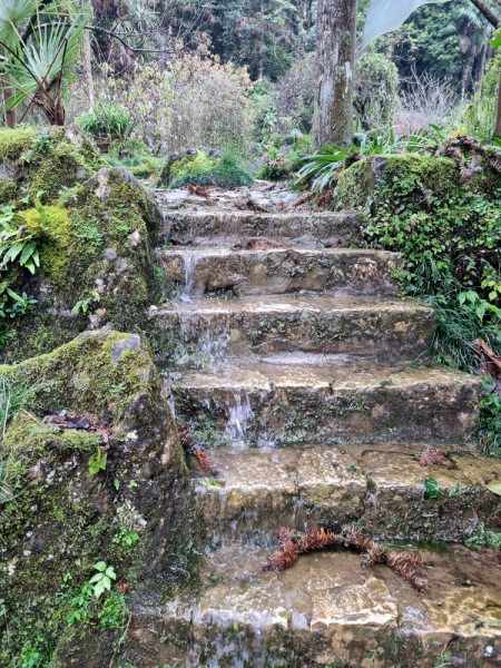 По Вьетнаму с вьетнамцами. С 25 сентября по 9 октября 2022 года. Hanoi - SаPа - Halong Bay - Nha Trang - Dalat - Hanoi.