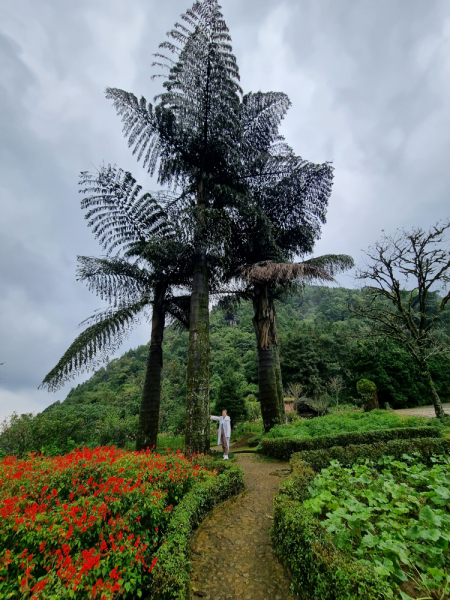 По Вьетнаму с вьетнамцами. С 25 сентября по 9 октября 2022 года. Hanoi - SаPа - Halong Bay - Nha Trang - Dalat - Hanoi.