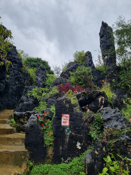 По Вьетнаму с вьетнамцами. С 25 сентября по 9 октября 2022 года. Hanoi - SаPа - Halong Bay - Nha Trang - Dalat - Hanoi.