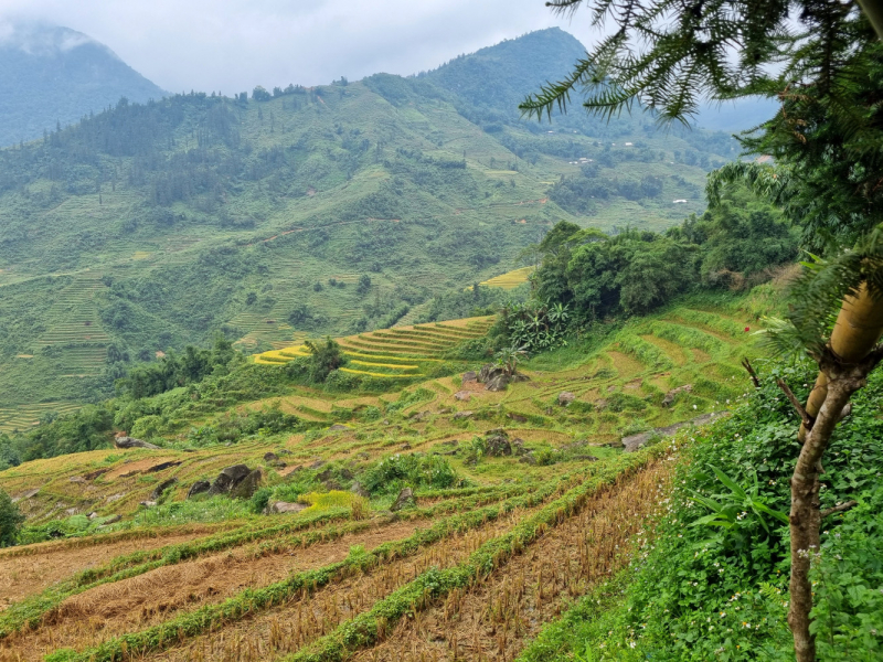 По Вьетнаму с вьетнамцами. С 25 сентября по 9 октября 2022 года. Hanoi - SаPа - Halong Bay - Nha Trang - Dalat - Hanoi.