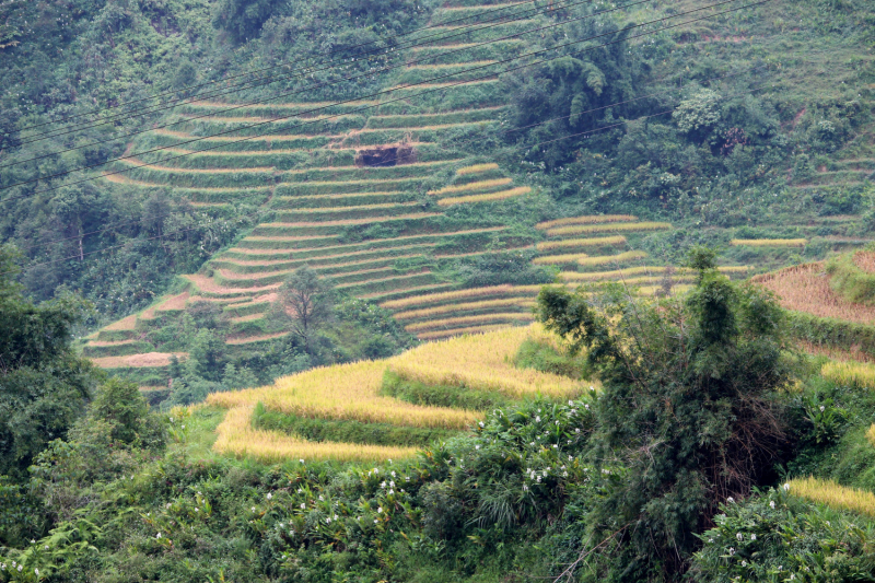 По Вьетнаму с вьетнамцами. С 25 сентября по 9 октября 2022 года. Hanoi - SаPа - Halong Bay - Nha Trang - Dalat - Hanoi.