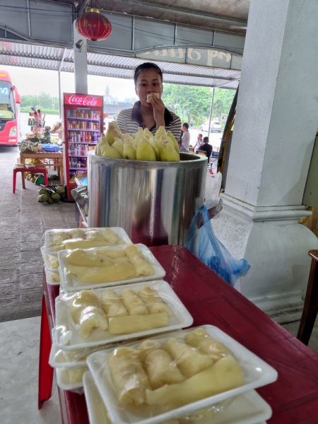 По Вьетнаму с вьетнамцами. С 25 сентября по 9 октября 2022 года. Hanoi - SаPа - Halong Bay - Nha Trang - Dalat - Hanoi.