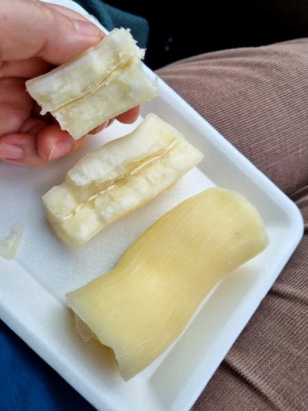 По Вьетнаму с вьетнамцами. С 25 сентября по 9 октября 2022 года. Hanoi - SаPа - Halong Bay - Nha Trang - Dalat - Hanoi.