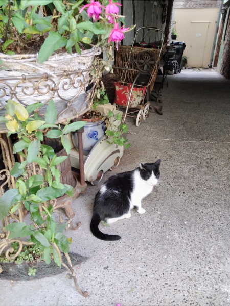 Эльзас, Люксембург, Монако и другие кусочки паззла - не съесть, но надкусить.