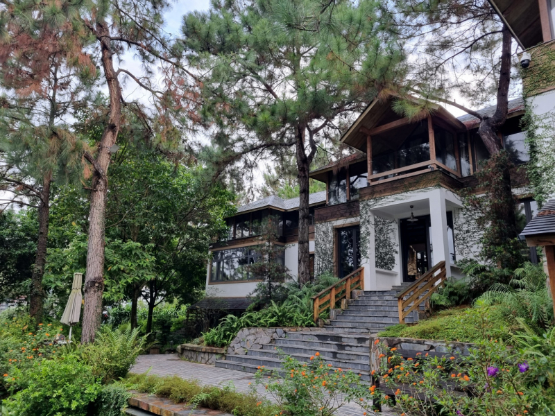 По Вьетнаму с вьетнамцами. С 25 сентября по 9 октября 2022 года. Hanoi - SаPа - Halong Bay - Nha Trang - Dalat - Hanoi.