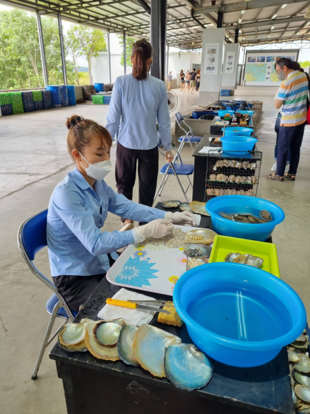 По Вьетнаму с вьетнамцами. С 25 сентября по 9 октября 2022 года. Hanoi - SаPа - Halong Bay - Nha Trang - Dalat - Hanoi.