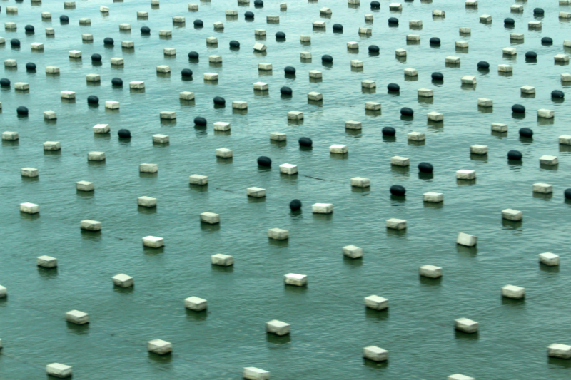 По Вьетнаму с вьетнамцами. С 25 сентября по 9 октября 2022 года. Hanoi - SаPа - Halong Bay - Nha Trang - Dalat - Hanoi.