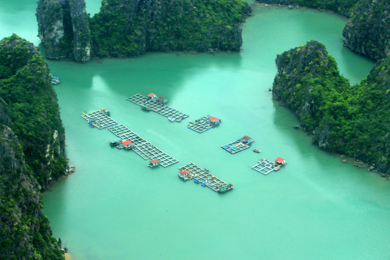 По Вьетнаму с вьетнамцами. С 25 сентября по 9 октября 2022 года. Hanoi - SаPа - Halong Bay - Nha Trang - Dalat - Hanoi.