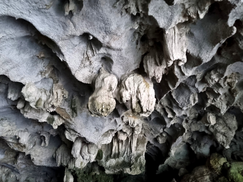 По Вьетнаму с вьетнамцами. С 25 сентября по 9 октября 2022 года. Hanoi - SаPа - Halong Bay - Nha Trang - Dalat - Hanoi.