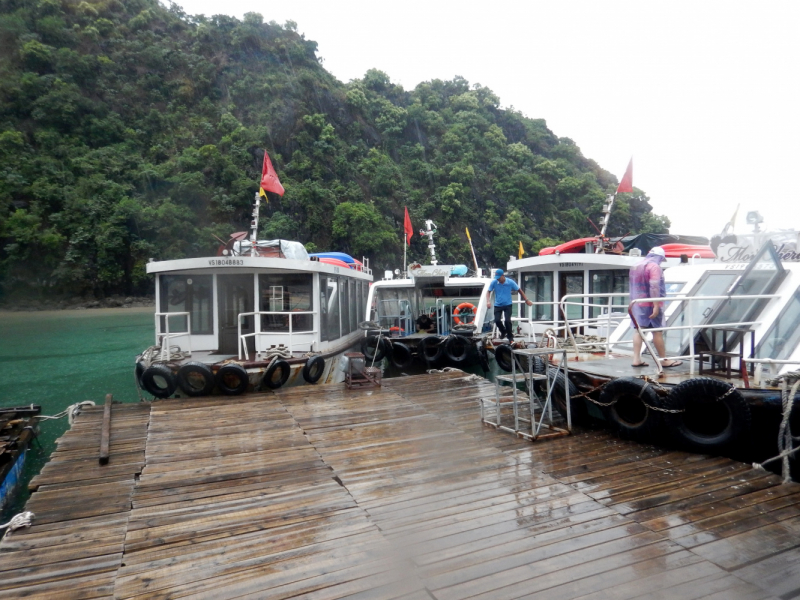 По Вьетнаму с вьетнамцами. С 25 сентября по 9 октября 2022 года. Hanoi - SаPа - Halong Bay - Nha Trang - Dalat - Hanoi.