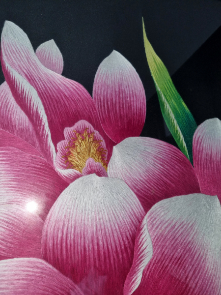 По Вьетнаму с вьетнамцами. С 25 сентября по 9 октября 2022 года. Hanoi - SаPа - Halong Bay - Nha Trang - Dalat - Hanoi.