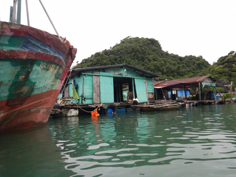 По Вьетнаму с вьетнамцами. С 25 сентября по 9 октября 2022 года. Hanoi - SаPа - Halong Bay - Nha Trang - Dalat - Hanoi.