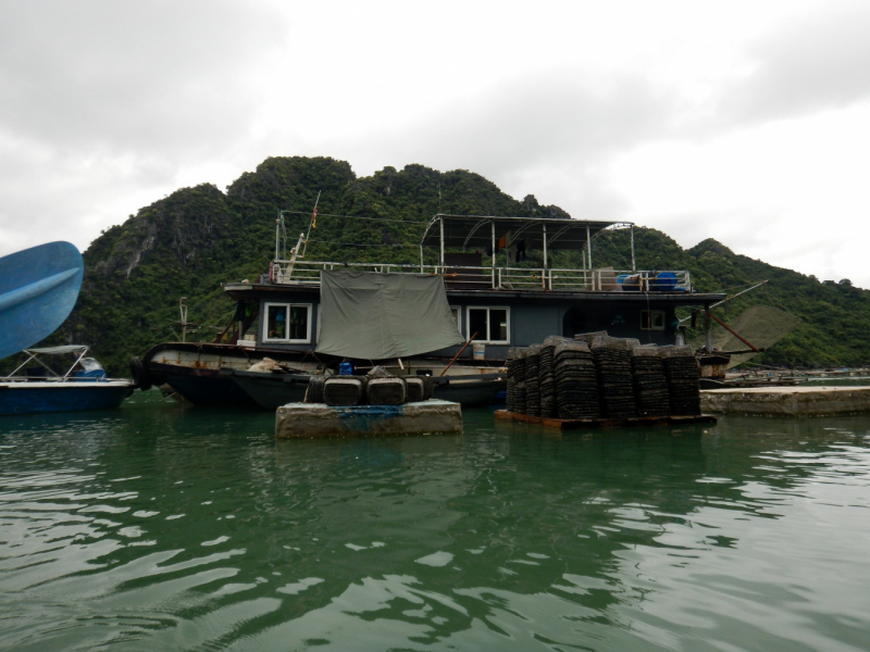 По Вьетнаму с вьетнамцами. С 25 сентября по 9 октября 2022 года. Hanoi - SаPа - Halong Bay - Nha Trang - Dalat - Hanoi.