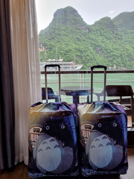 По Вьетнаму с вьетнамцами. С 25 сентября по 9 октября 2022 года. Hanoi - SаPа - Halong Bay - Nha Trang - Dalat - Hanoi.