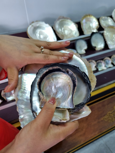 По Вьетнаму с вьетнамцами. С 25 сентября по 9 октября 2022 года. Hanoi - SаPа - Halong Bay - Nha Trang - Dalat - Hanoi.