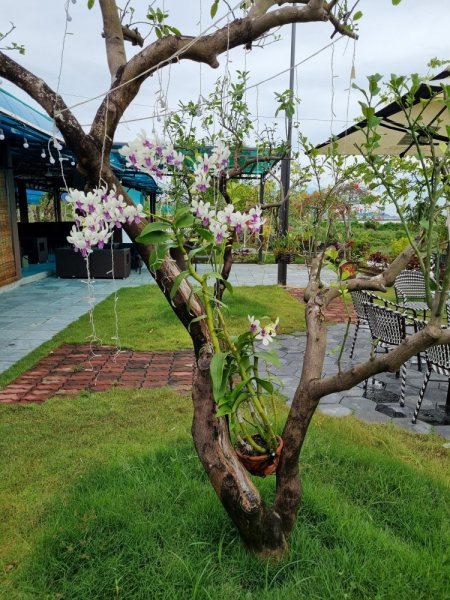 По Вьетнаму с вьетнамцами. С 25 сентября по 9 октября 2022 года. Hanoi - SаPа - Halong Bay - Nha Trang - Dalat - Hanoi.