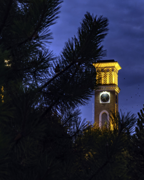 Узбекистан 2022