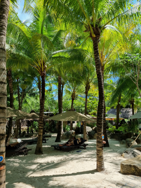 По Вьетнаму с вьетнамцами. С 25 сентября по 9 октября 2022 года. Hanoi - SаPа - Halong Bay - Nha Trang - Dalat - Hanoi.